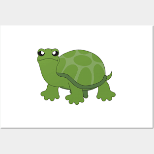 Turtle Posters and Art